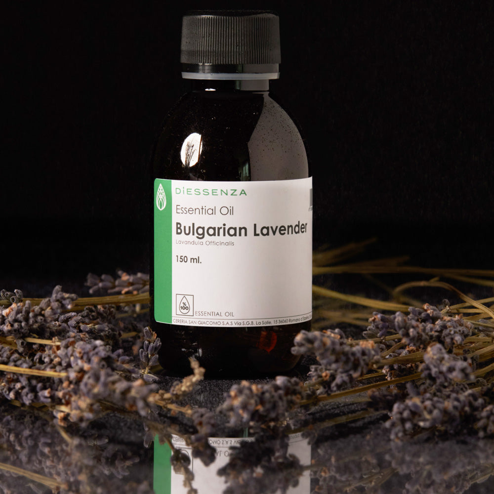 Bulgarian Lavender Essential Oil for soy, natural and massage waxes